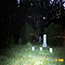 image25